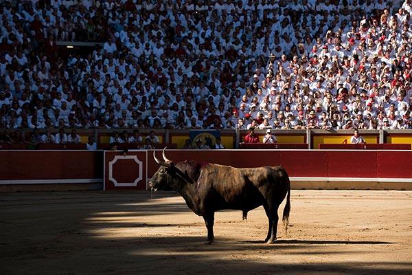 Sanfermines: the killing in the bullring