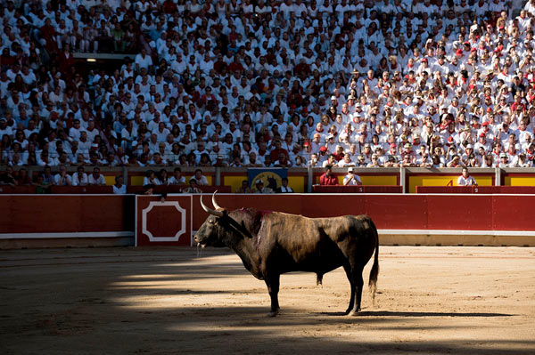 Matanza de toros durante las fiestas de San Fermín