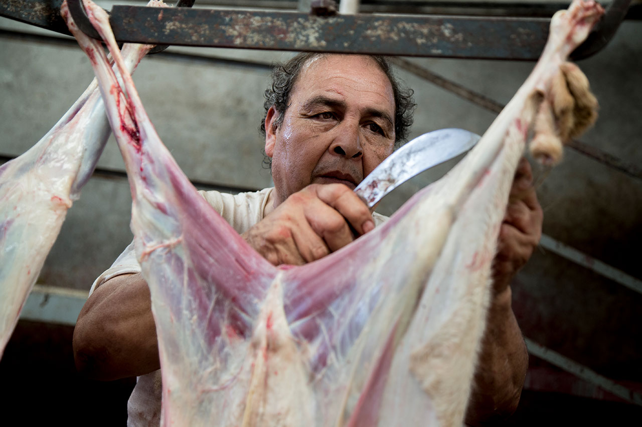 Skinning. The animals’ skin is used for the production of items such as shoes or bags.