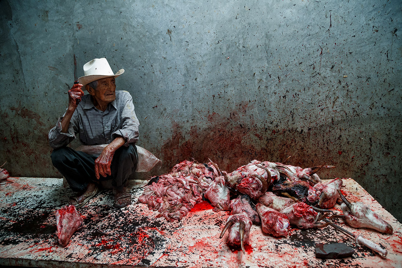Some workers spend their whole lives slaughtering animals .